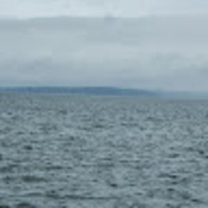 Meet your Posher, Dave